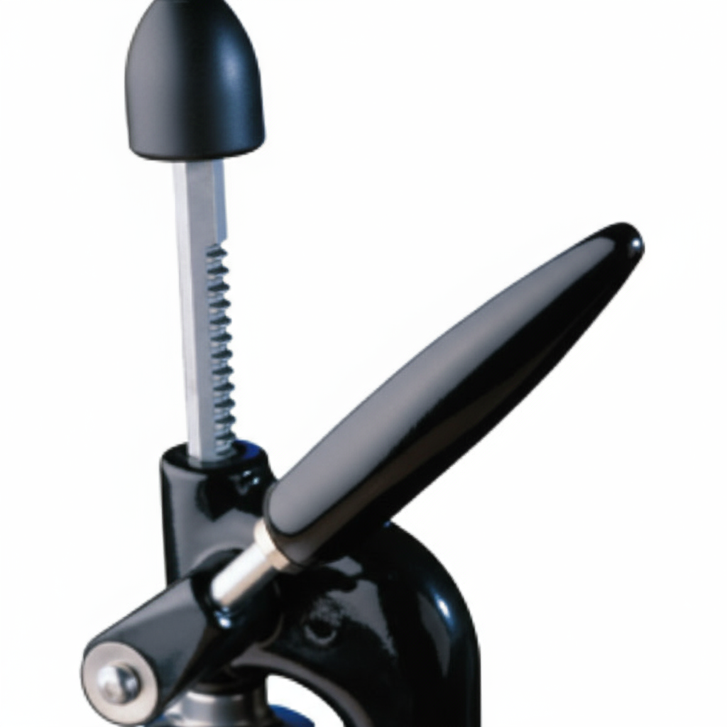 Presse-agrumes manuel – Équipements professionnels ERP – Image 3 | KODIF