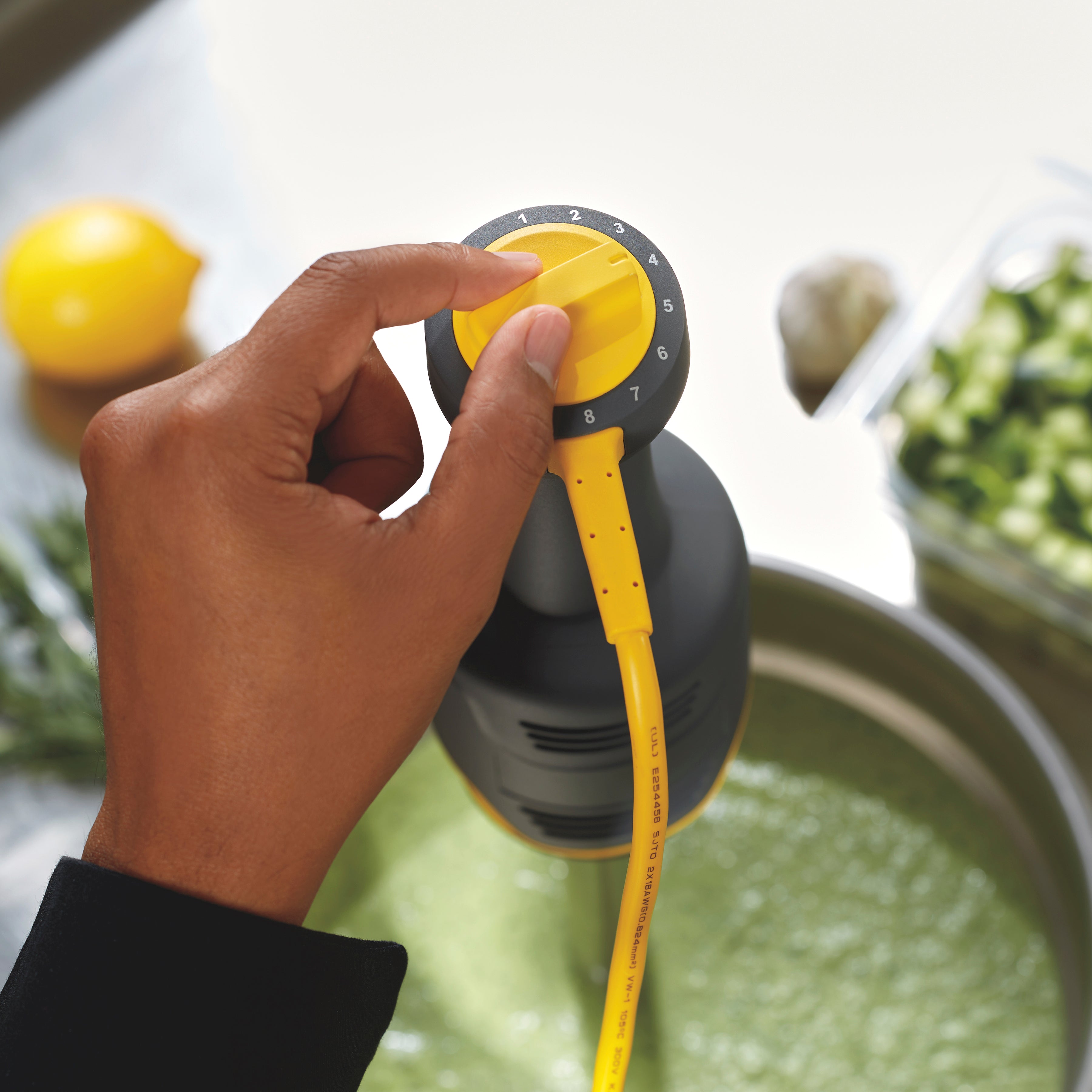 Mixeur plongeant compact - BigRig – Équipements professionnels ERP – Image 4 | KODIF